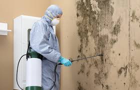 Best Mold Documentation for Insurance Claims  in Pelham, AL